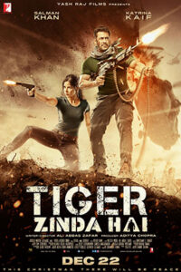 Tiger Zinda Hai (2017) BluRay Hindi Full Movie 480p | 720p | 1080p