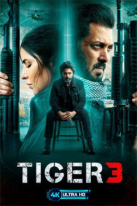 Tiger 3 (2023) Hindi AMZN WEB-DL 480p | 720p | 1080p | 2160p 4K UHD